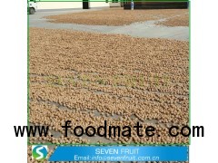 Healthy And Best California New Fresh Common walnuts Wholesale