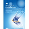 Hydrolyzed Collagen Type II