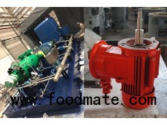 China Petrochemical Pump Manufacturer-Oil pump