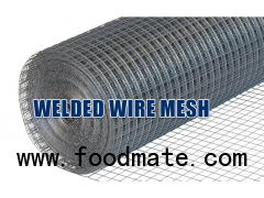 Sell Galvanized After Welded Wire Mesh in Stock!