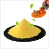 Sea Buckthorn Fruit Oil Powder