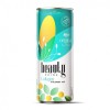 250ml  canned Collagen and hyaluronic acid  drink original flavor