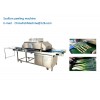 Scallion peeling machine Green Onions peeling machine