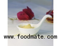 Rosemary Extract-Water Soluble Series