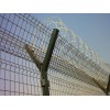 Concertina Coils High Security Fence