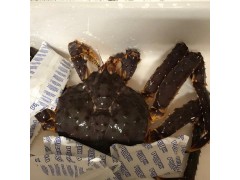 live king crab for sale