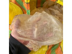 fish maw for sale