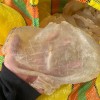 fish maw for sale