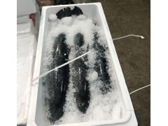 fresh salmon for sale