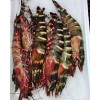 tiger prawns for sale