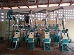 Small 10T 20T 50T grinder machine Automatic maize Corn Grain Milling machine grinding equipment