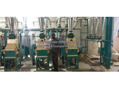 Agricultural maize corn flour mill plant corn grits making machine semolina making machine