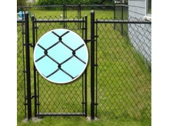 Vinyl Coated Chain Link Fence