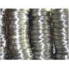 Electro Galvanized Wire