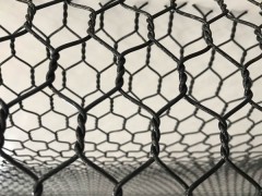 Plastic Wire Mesh