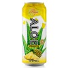 Best natural aloe vera pineapple juice drink from BENA