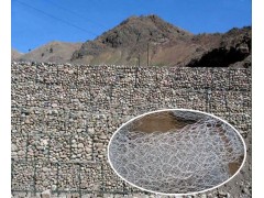 Planted Gabion Walls