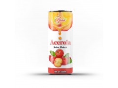 wholesale acerola juice drink from BENA companies