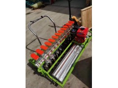 vegetable seeder