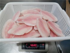 Tilapia fillet 3-5oz