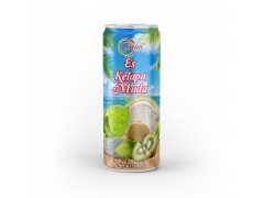 Es Kelapa Muda Kiwi Juice Drink from BENA drink
