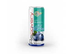 Premium Healthy Recovery Blueberry Drink from BENA
