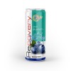 Premium Healthy Recovery Blueberry Drink from BENA