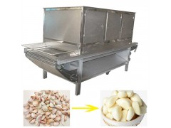 Garlic peeling machine price in pakistan