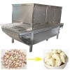 Garlic peeling machine price in pakistan