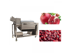 Work Standards Of The Pomegranate Aril Separator Machine