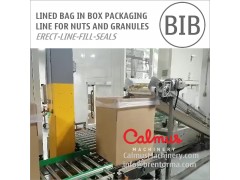 Carton Liner Bag in Box Line for Packaging Nuts and Granules