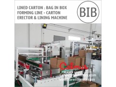 Lined Carton Bag in Box Forming Line - Carton Erector and Bag Inserter