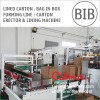Lined Carton Bag in Box Forming Line - Carton Erector and Bag Inserter
