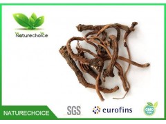 Organic Dandelion Root