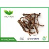 Organic Dandelion Root