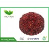 Organic Schisandra Berries