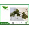 Orgainc Dried Epimedium Leaf / Horny Goat Weed Leaf