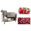 Work Standards Of The Pomegranate Aril Separator Machine
