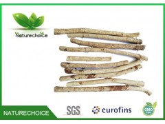 Astragalus Whole Root Organic Astragalus Membranaceus