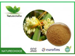 Chinese Dodder Seed Extract