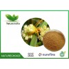 Chinese Dodder Seed Extract