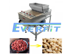 Peanut Dry Peeling Machine Design