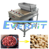 Peanut Dry Peeling Machine Design