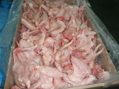 Frozen chicken wings JBS AVES LTDA