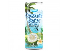 coconut water with pulp drink supplier from BNLFOOD