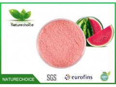 Watermelon Powder