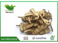 Chinese Angelica
