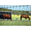 HORSE FENCE