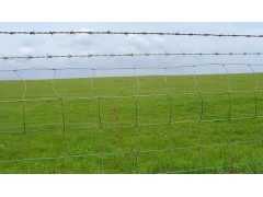 PERIMETER FENCE