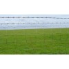 PERIMETER FENCE